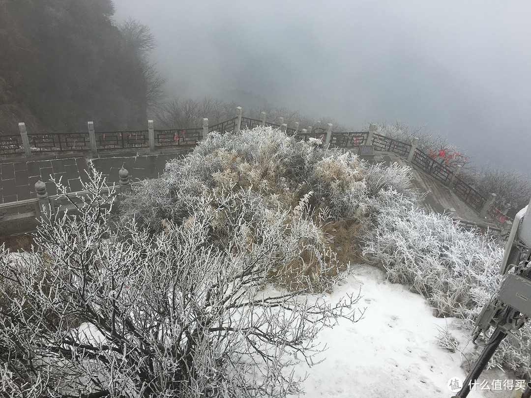 乐山峨眉山二日游