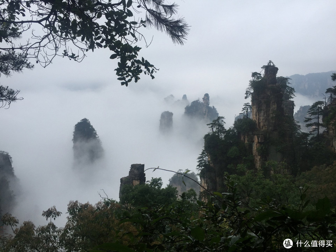 抠出汁来的张家界极爽之旅