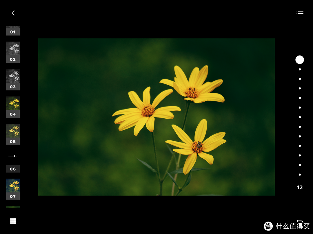 终于等到你——荷花季分享我的拍花心得