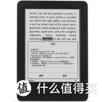 从 Amazon 亚马逊 Kindle 电子阅读器 转战到 JDread 真实使用感受（附带root精简说明）