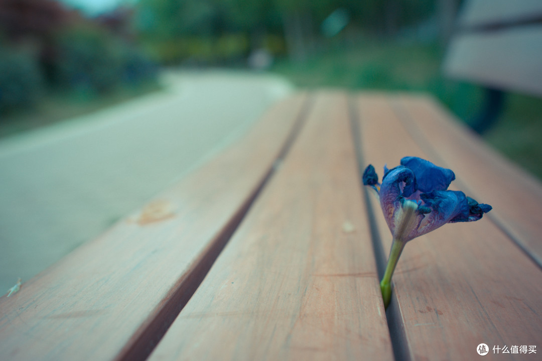 Nikon 尼康 AF-S 24mm f1.4G ED 镜头(兼谈 Nikon 尼康 58mm f1.4G镜头)