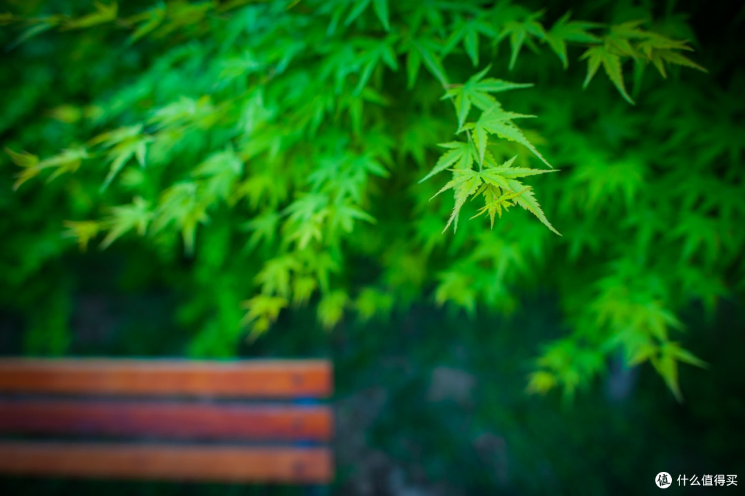 Nikon 尼康 AF-S 24mm f1.4G ED 镜头(兼谈 Nikon 尼康 58mm f1.4G镜头)