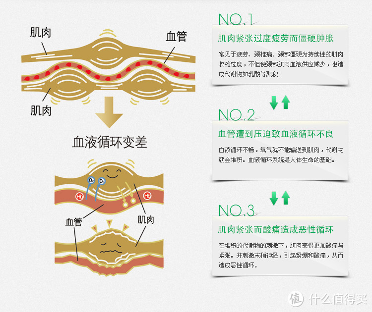 为年少还愿，为智商和信仰充值：PIP蓓福 磁力颈环 一个月试戴感受