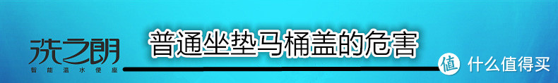 洗PP瞬间让菊花有绽放的快感：Ryoji 洗之朗 R2262 智能马桶盖