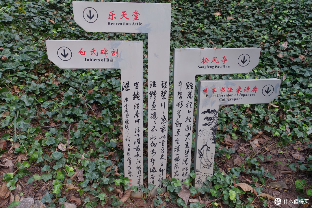 龙门石窟篇