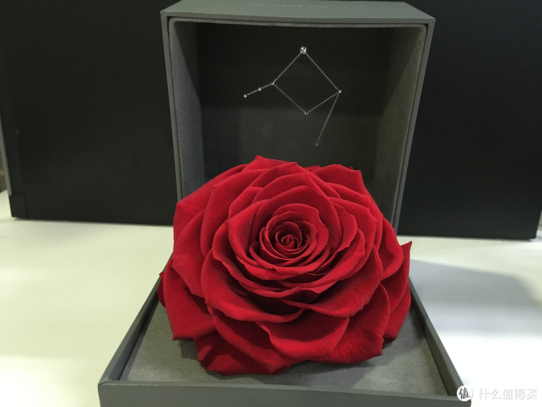 #原创新人#一生只送一人，星座经典の天秤座：roseonly 永生花礼盒