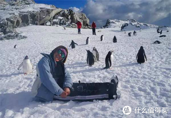 呆萌企鹅和各种意外