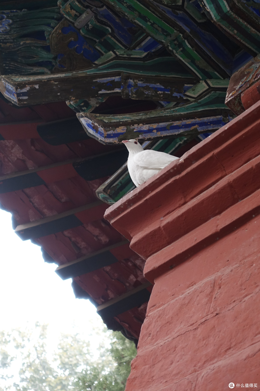 明堂+白马寺篇