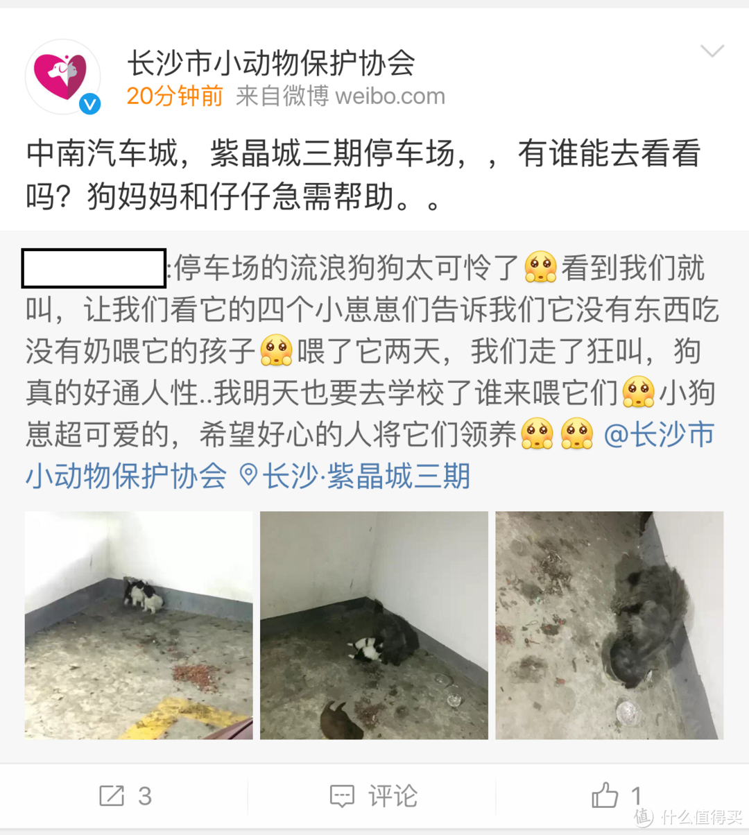 记录一次简单又复杂的救助过程