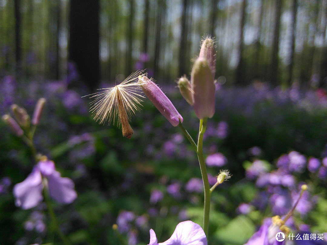 Nikon 尼康 D7200 18-140 单反套机 入手开箱