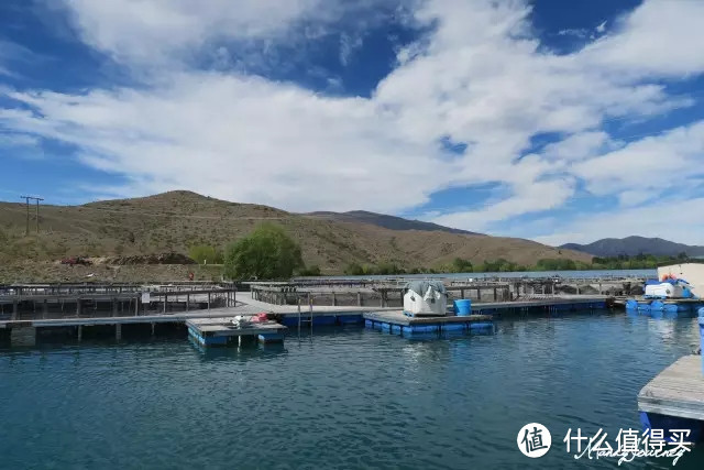 Queenstown皇后镇（下）&库克山&阿尔卑斯湖泊&Lake Tekapo蒂卡波湖&Dunedin但尼丁（上）