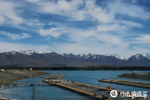 Queenstown皇后镇（下）&库克山&阿尔卑斯湖泊&Lake Tekapo蒂卡波湖&Dunedin但尼丁（上）