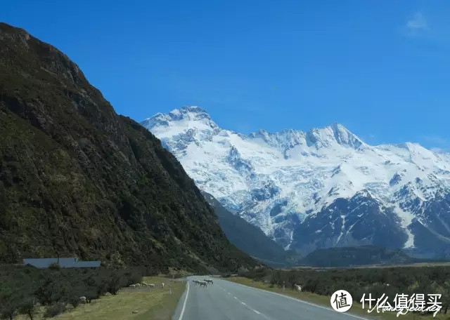 Queenstown皇后镇（下）&库克山&阿尔卑斯湖泊&Lake Tekapo蒂卡波湖&Dunedin但尼丁（上）