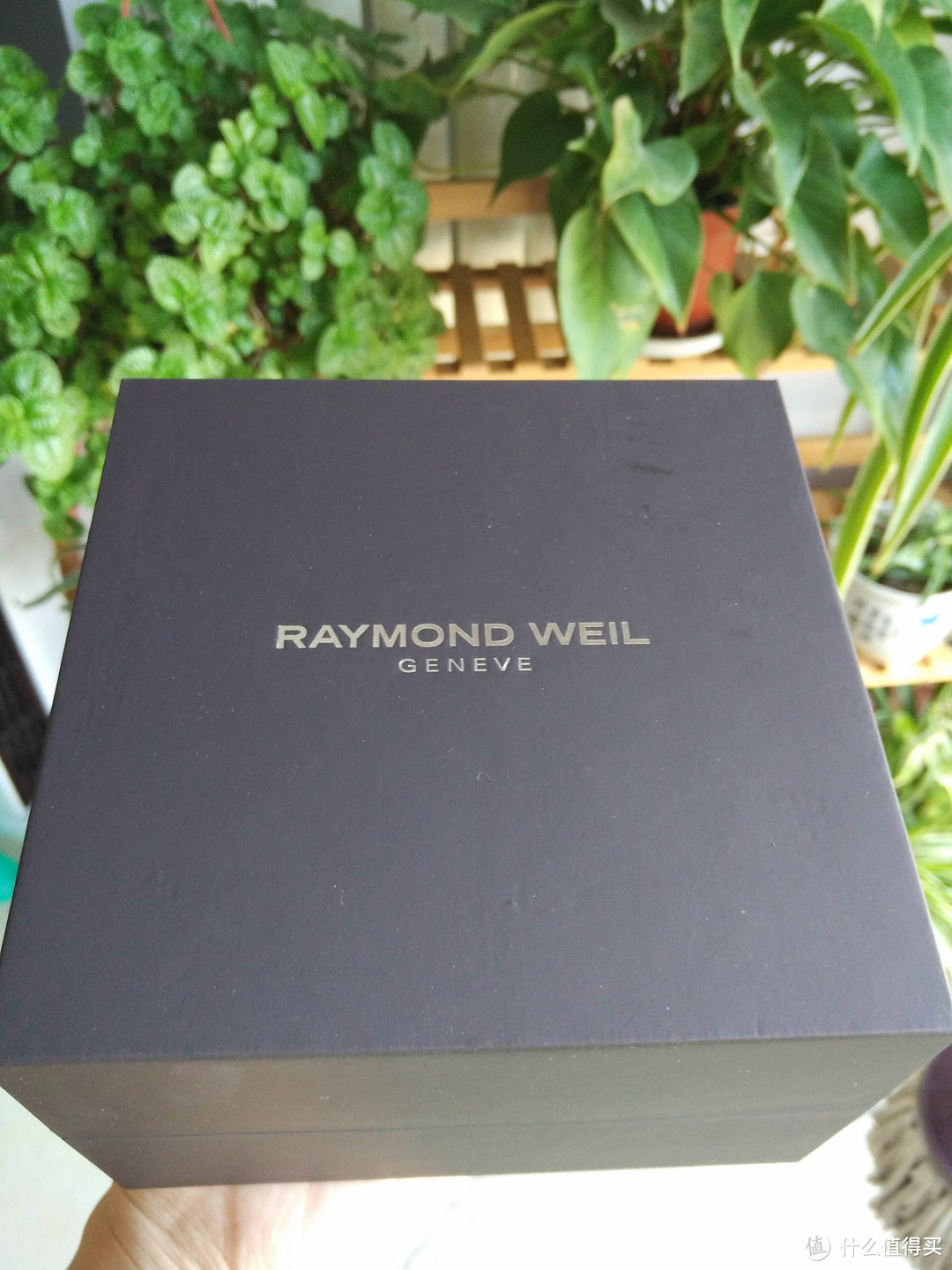 #本站首晒# #原创新人# Raymond Weil 雷蒙威 maestro 大师系列 自动机械女表 晒单