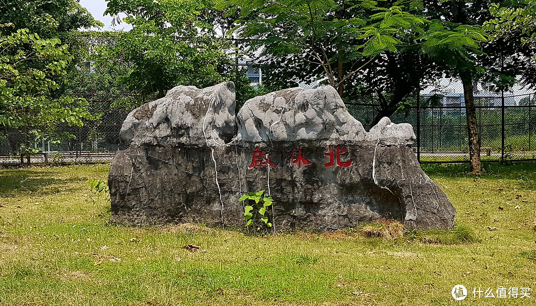 再见，华南农业大学