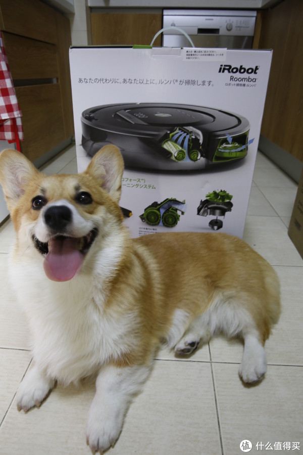 ǽҪ뾵۽~