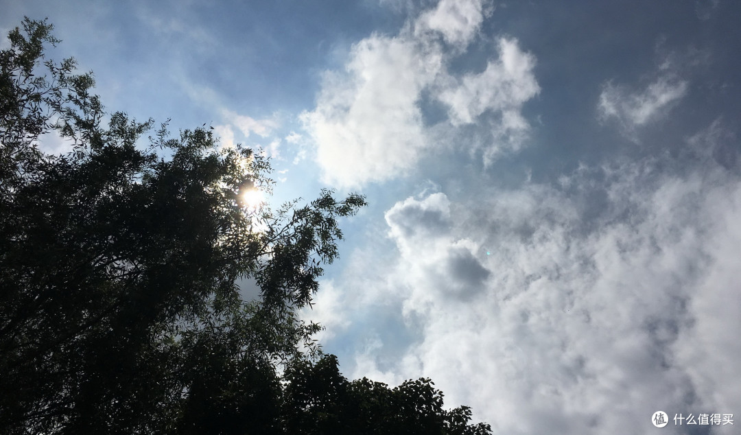 越住越有味道的酒店——杭州西溪喜来登