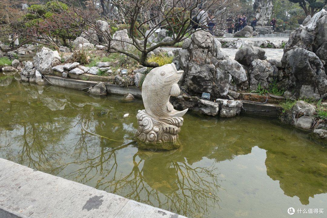 玄武湖公园+雨花台篇