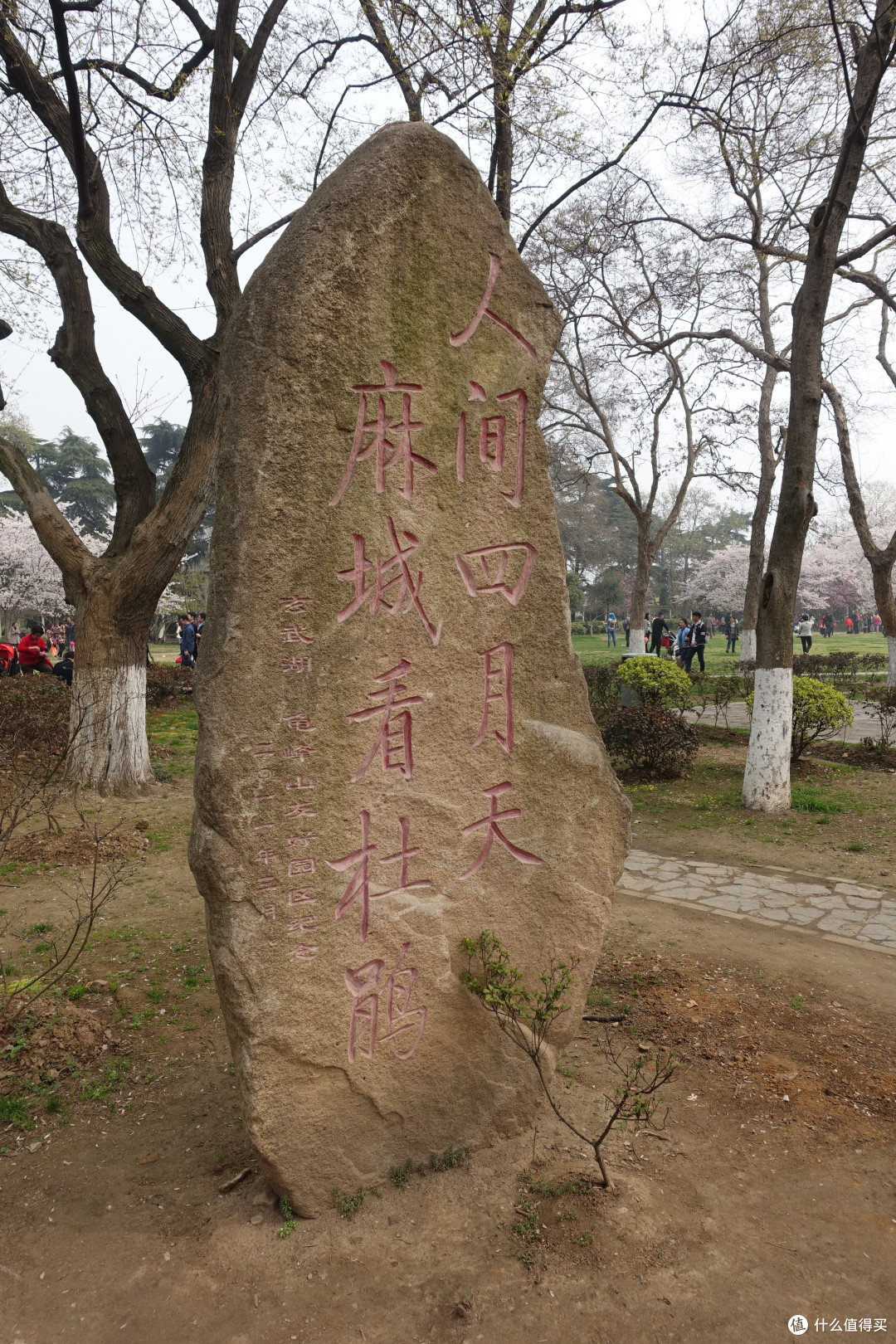 玄武湖公园+雨花台篇