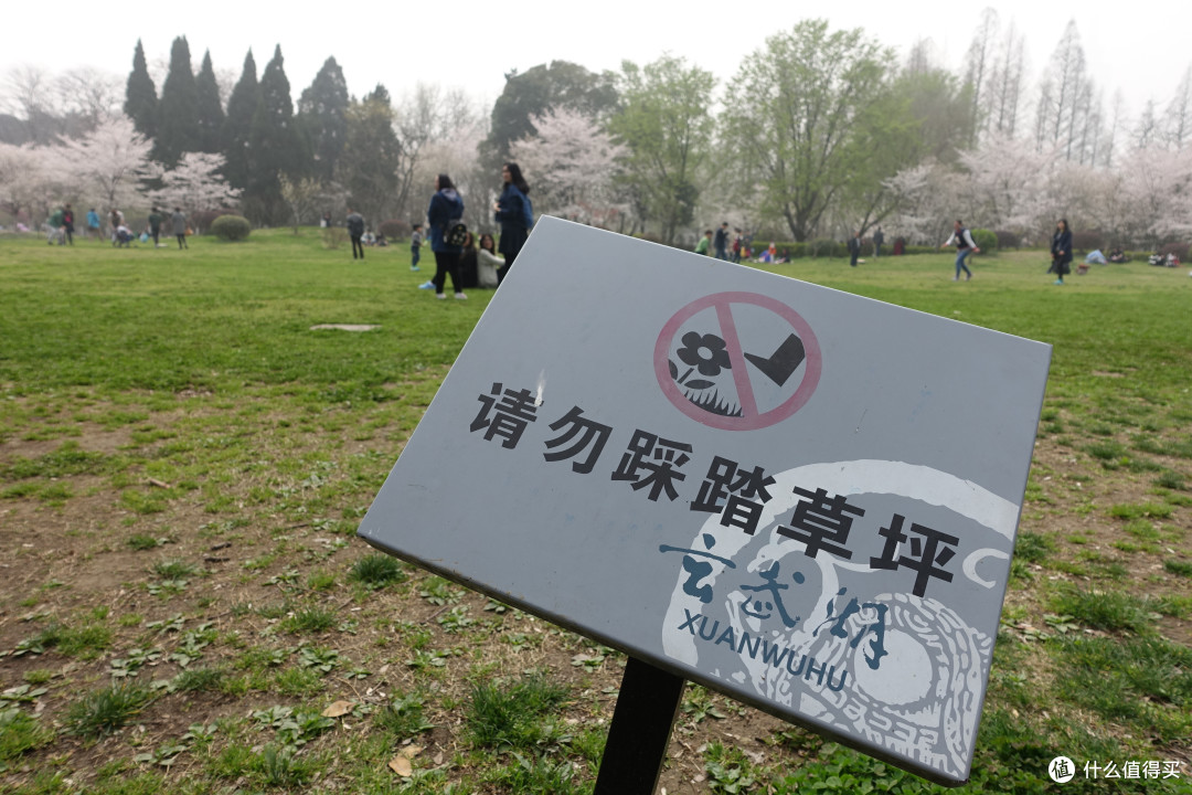 玄武湖公园+雨花台篇