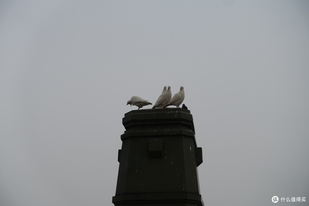 玄武湖公园+雨花台篇