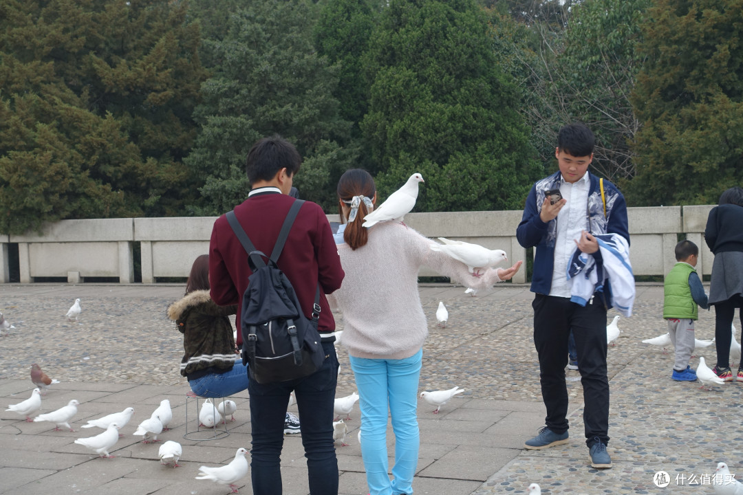 玄武湖公园+雨花台篇