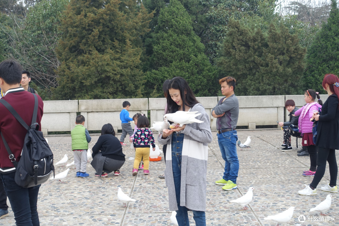 玄武湖公园+雨花台篇