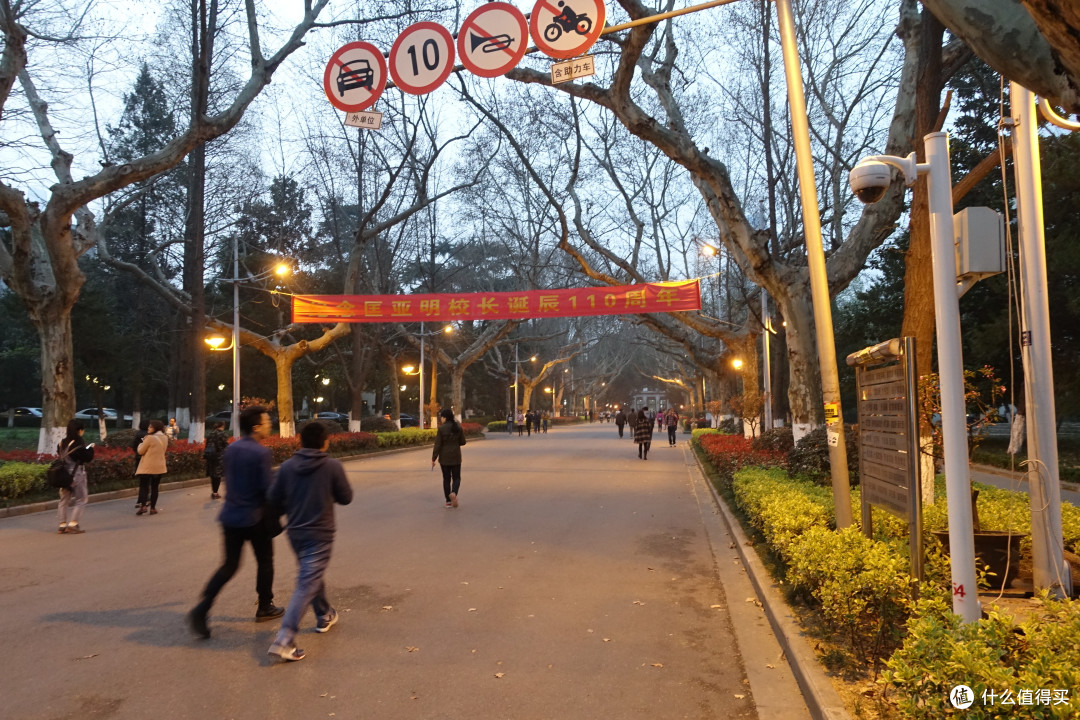 玄武湖公园+雨花台篇