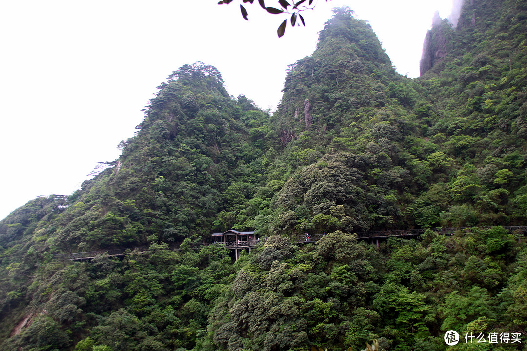 回家与旅行兼得——2016端午三清山2日游