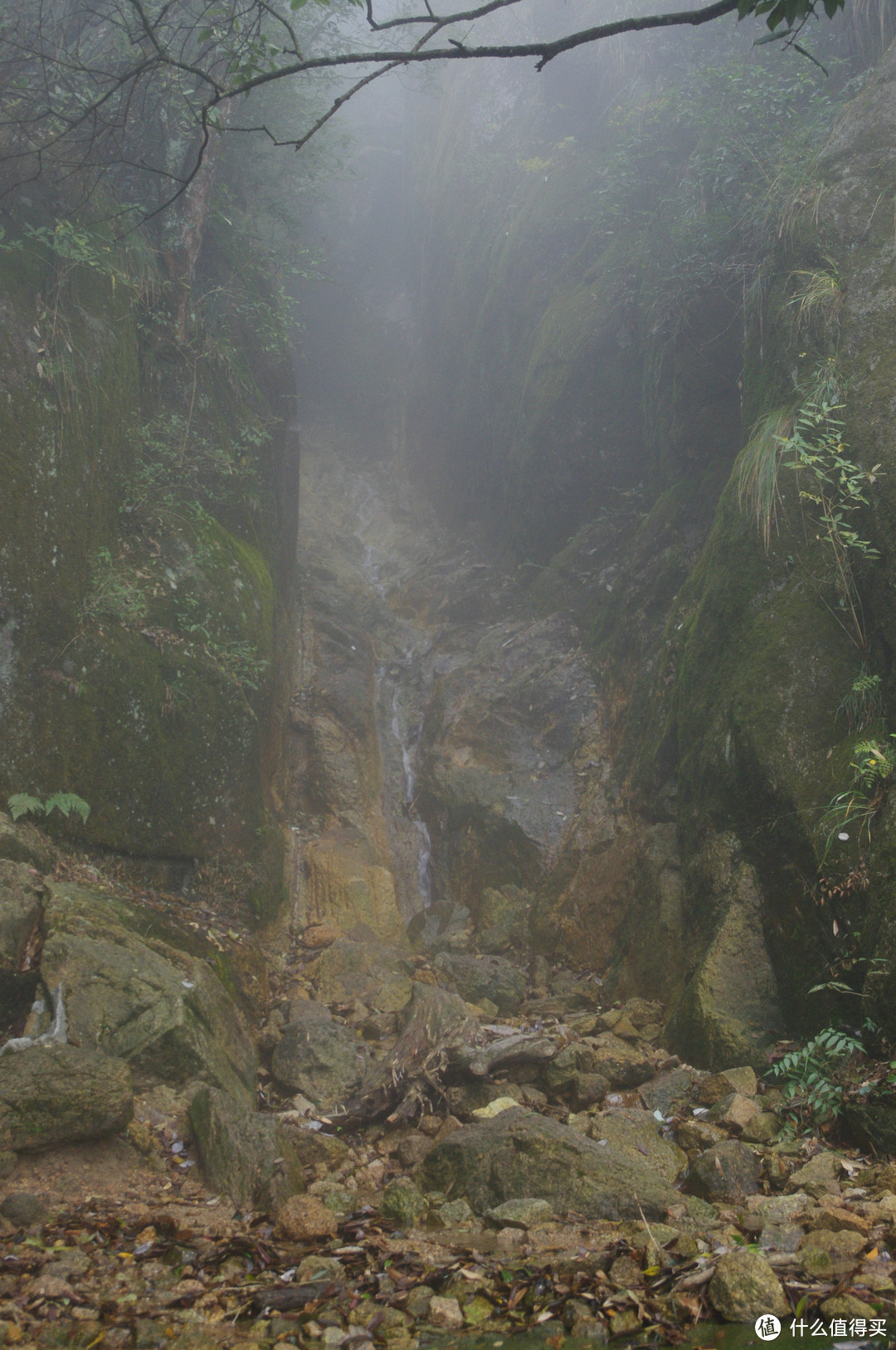 三清山一日之旅