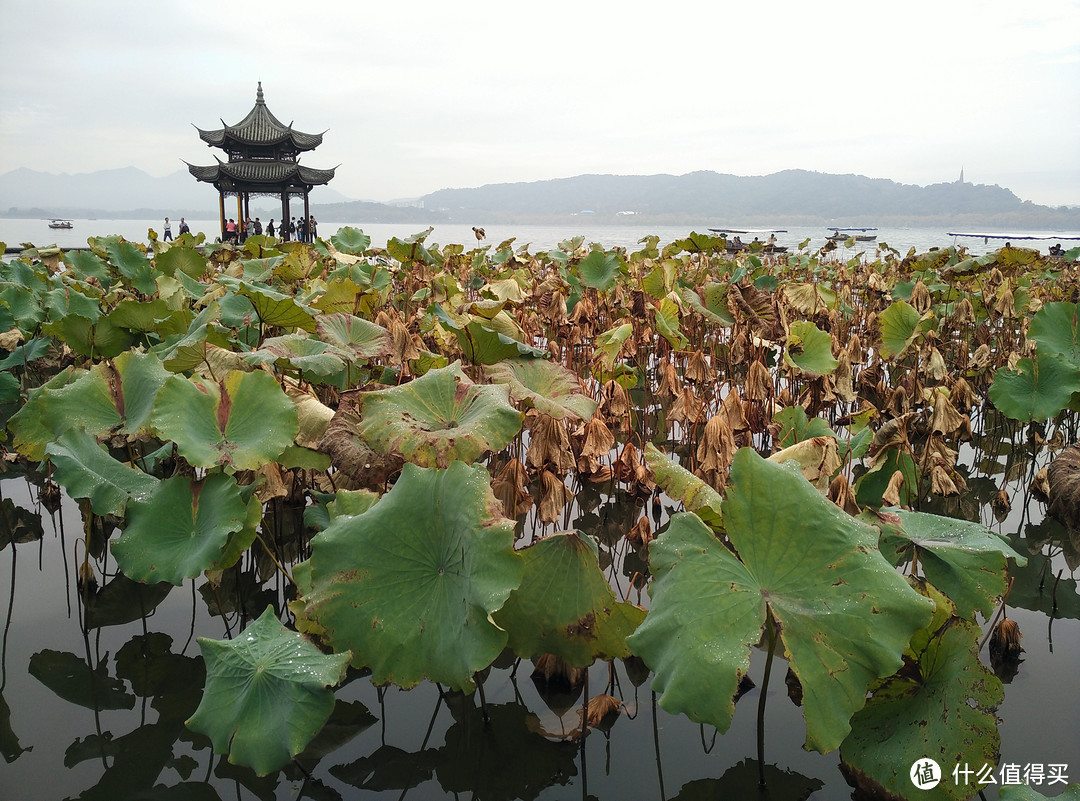 浮光掠影逛临安：一次杭州周末浅度游