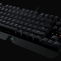 Razer 雷蛇 黑寡妇 蜘蛛竞技版2014 机械键盘