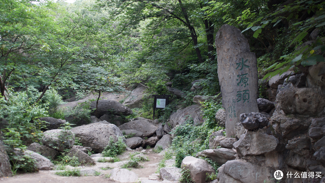 尼康nikon ais 24/f2.8 手动头试玩+北京植物园随手拍