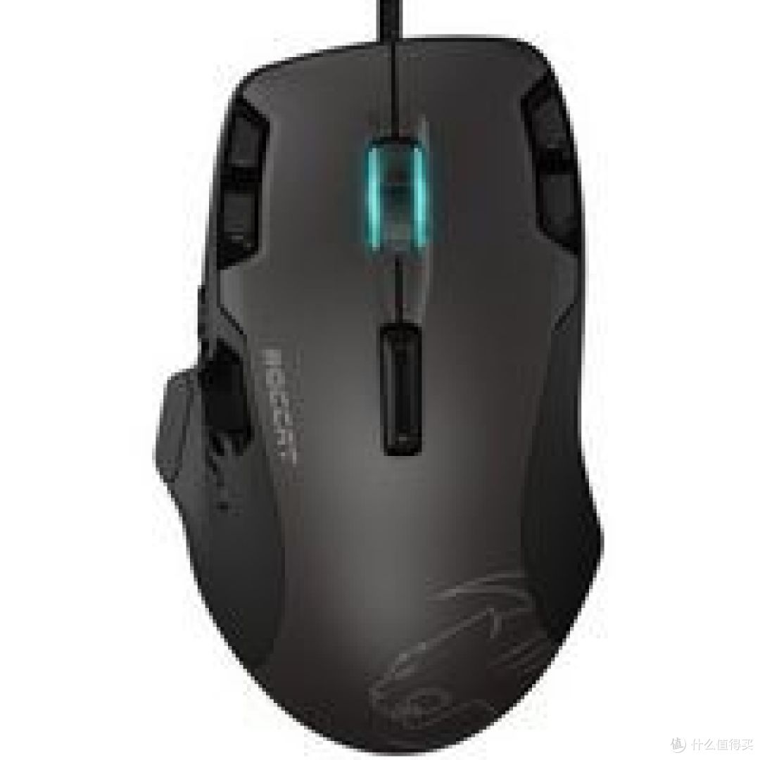 去而复返，小豹子哪里逃！ROCCAT 冰豹 TYON 游戏鼠标 使用一月感受