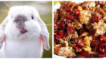 美食自家强 篇三十：赐你一只兔子的美味—冷吃兔