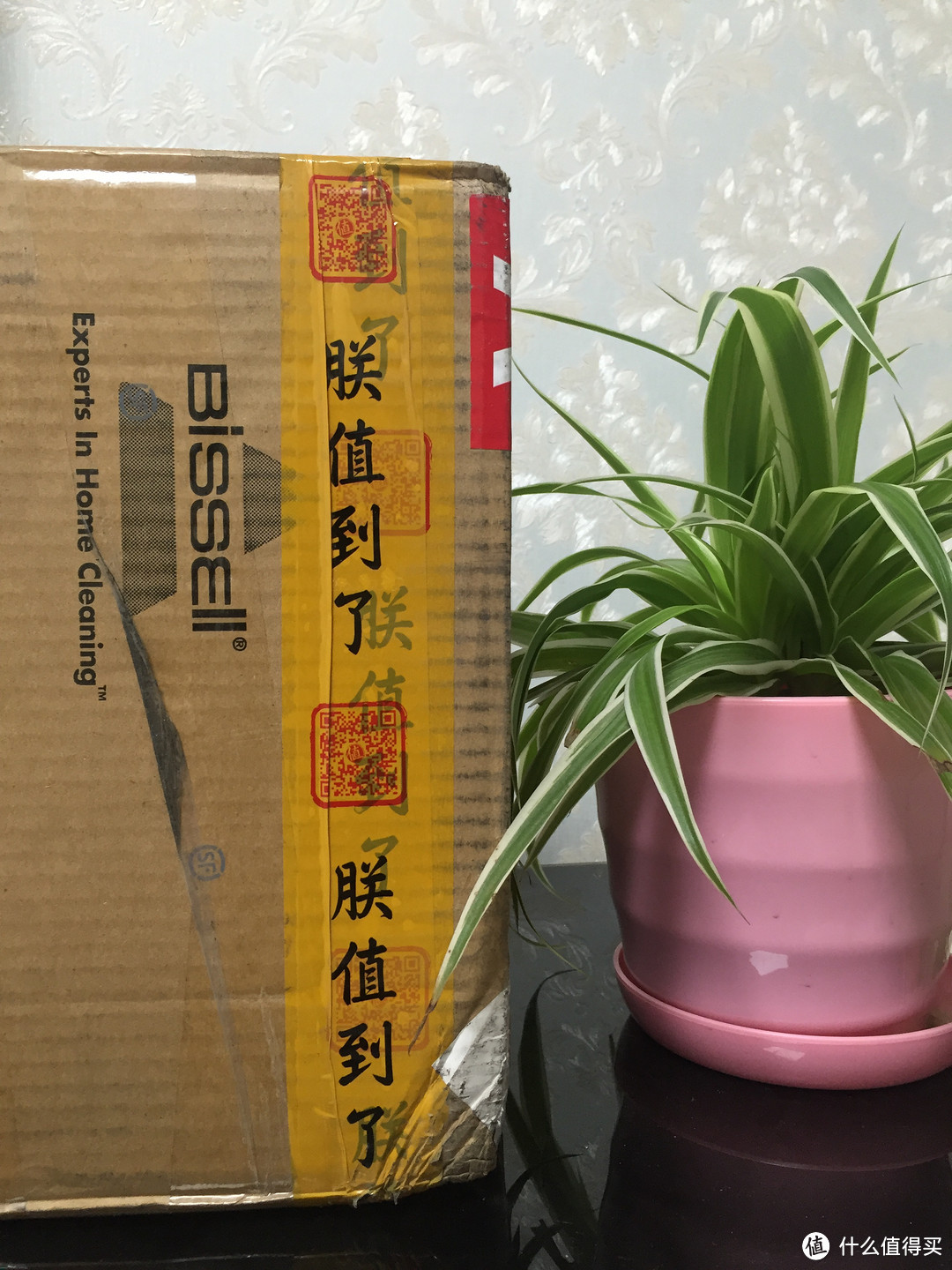 拖地吸尘样样精通！Bissell 必胜美国1132Z贵族吸尘器轻度试用