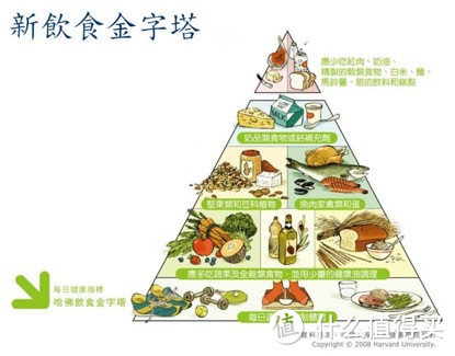 饮食金字塔－万变不离其宗