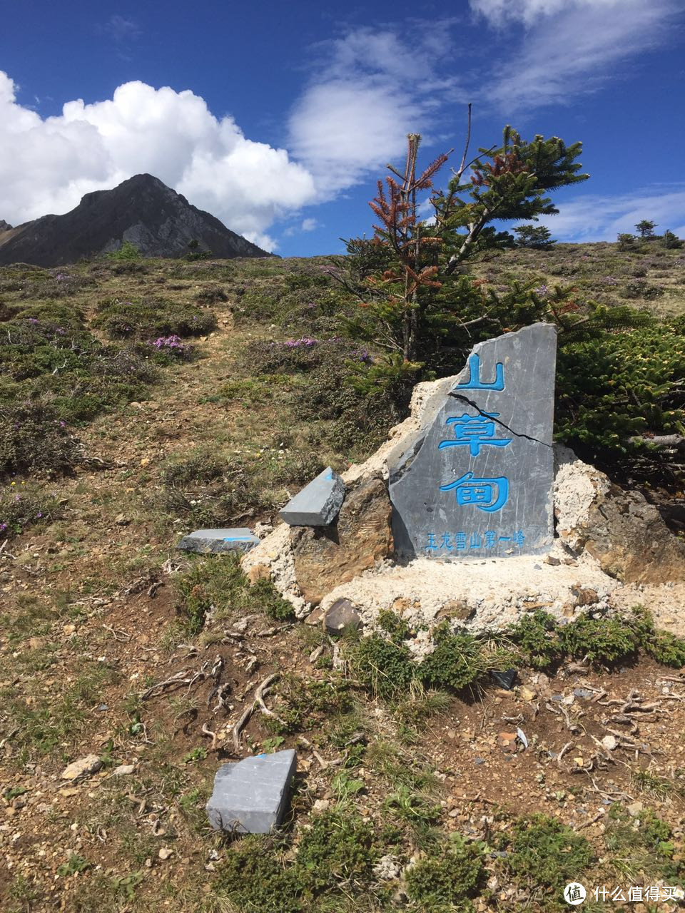 草甸石碑和一峰合影