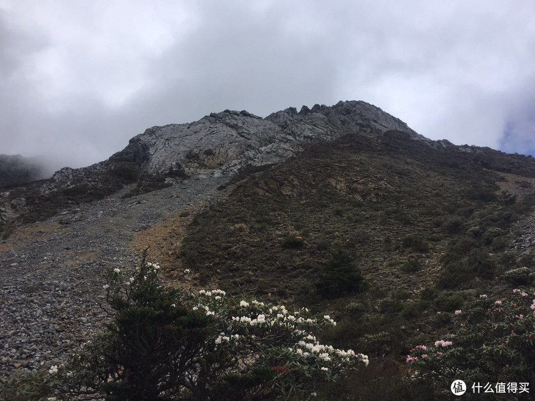 通往峰顶的路点缀着野花