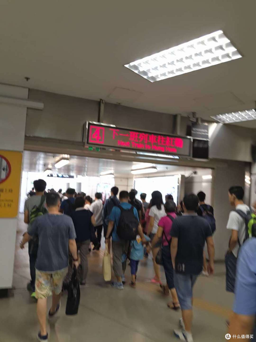 学习保护海洋：香港海洋公园自助一日游