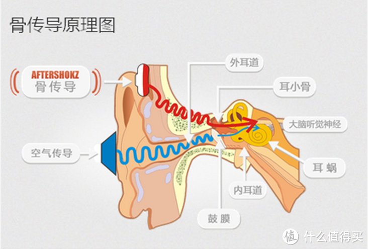 为心动买单——AfterShokz AS600 骨传导运动耳机深度测评