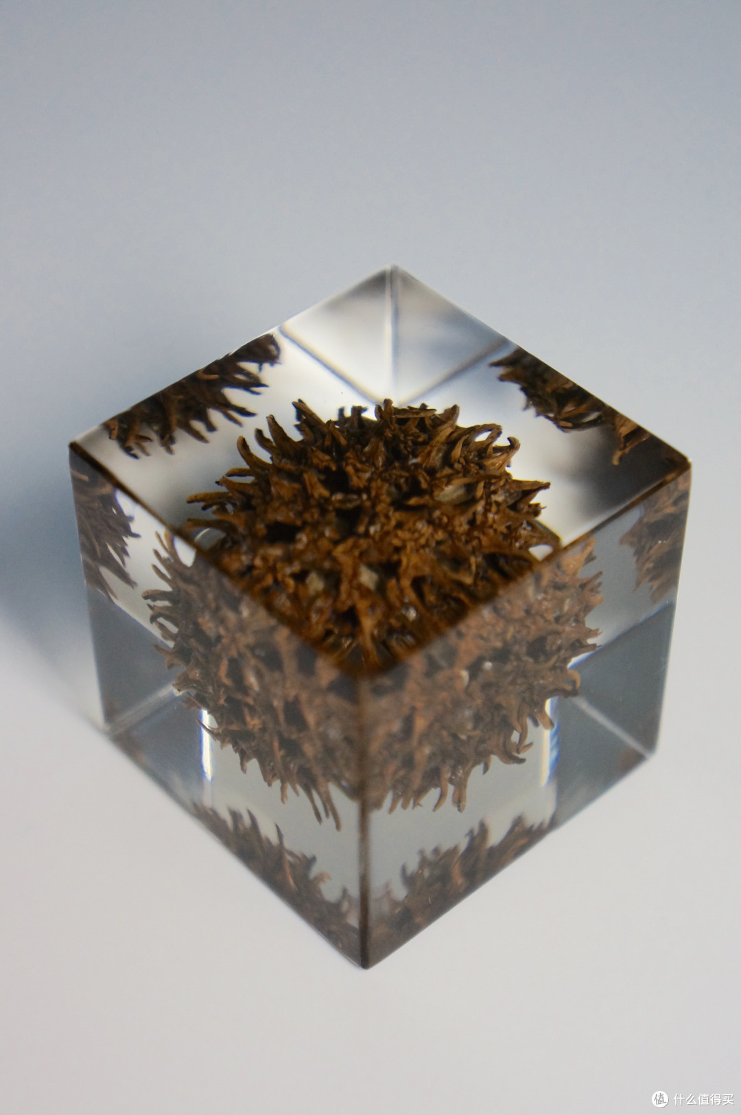 本站首晒掌心里的宇宙宙solacube