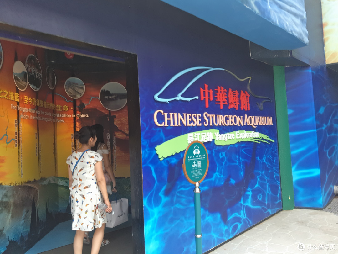 学习保护海洋：香港海洋公园自助一日游