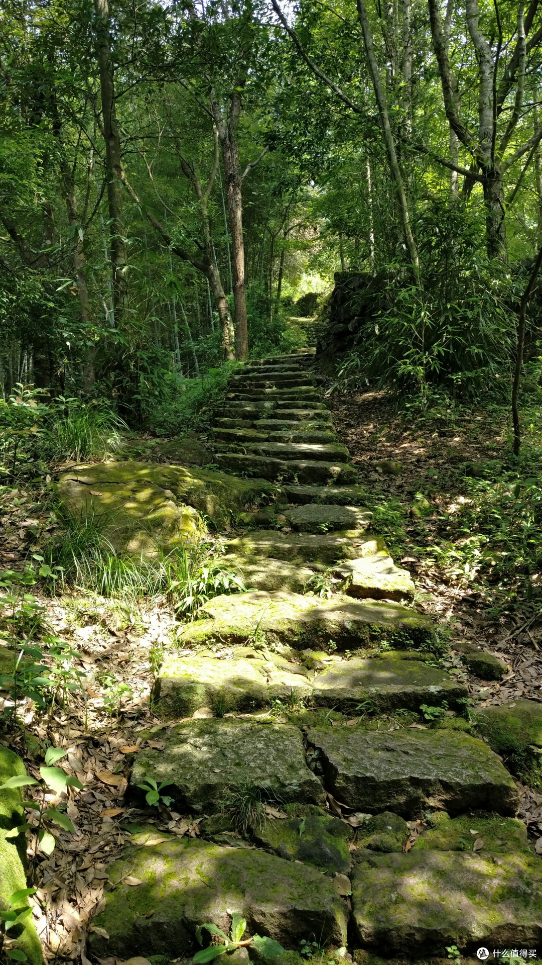 “心动石”游记，然我已心如止水，只愿你幸福