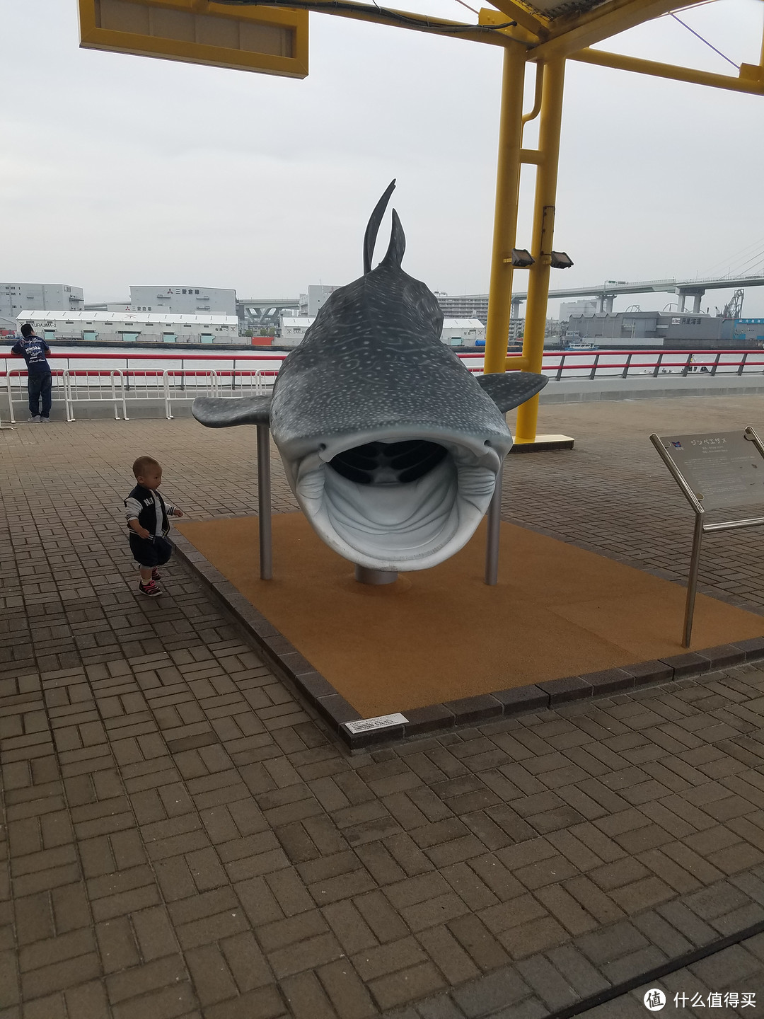 #本站首晒# 从大阪海游馆把鲸鲨带回家 — nanoblock 鲸鲨积木 晒单