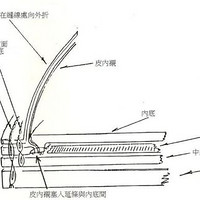 红翼 Heritage系列 9111 男款真皮工装靴使用感受(鞋跟|内衬|重量)