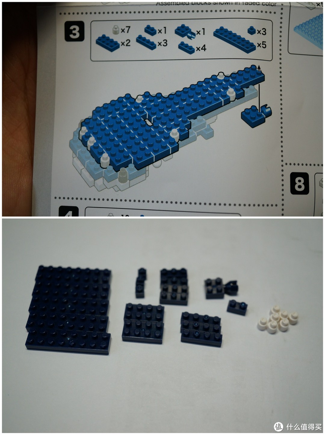 #本站首晒# 从大阪海游馆把鲸鲨带回家 — nanoblock 鲸鲨积木 晒单