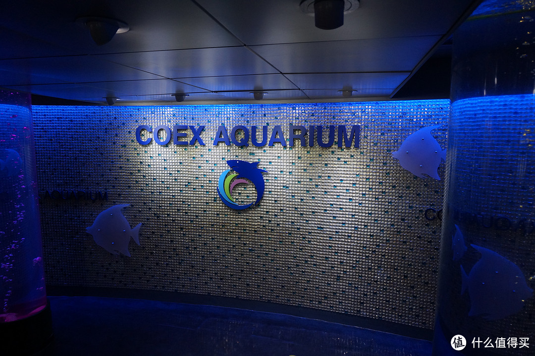 Day 3: 三星体验馆，COEX水族馆