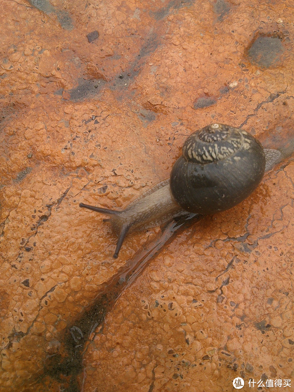 那些年我用过的手机 篇一：记第一部安卓机——SONY 索尼 LT22i