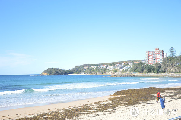 Manly Beach